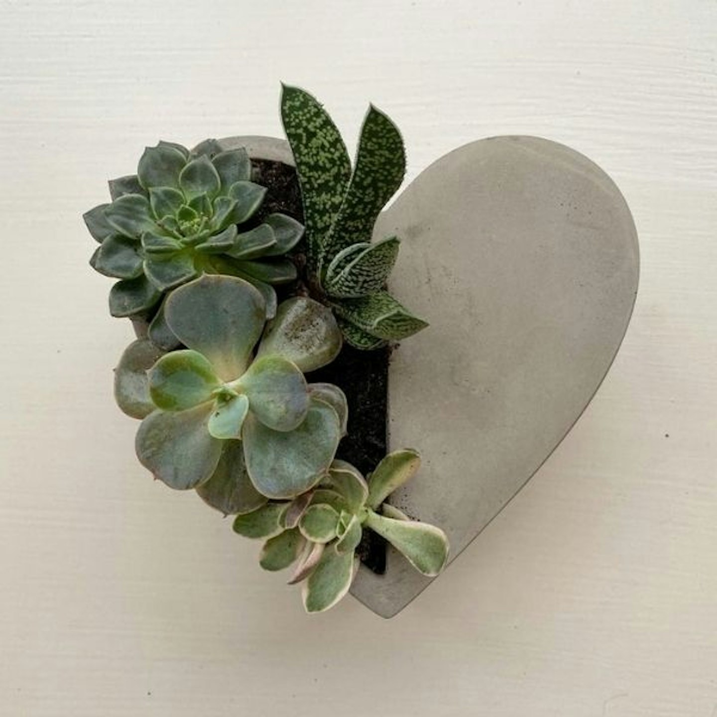 Mini Succulent Heart Pot
