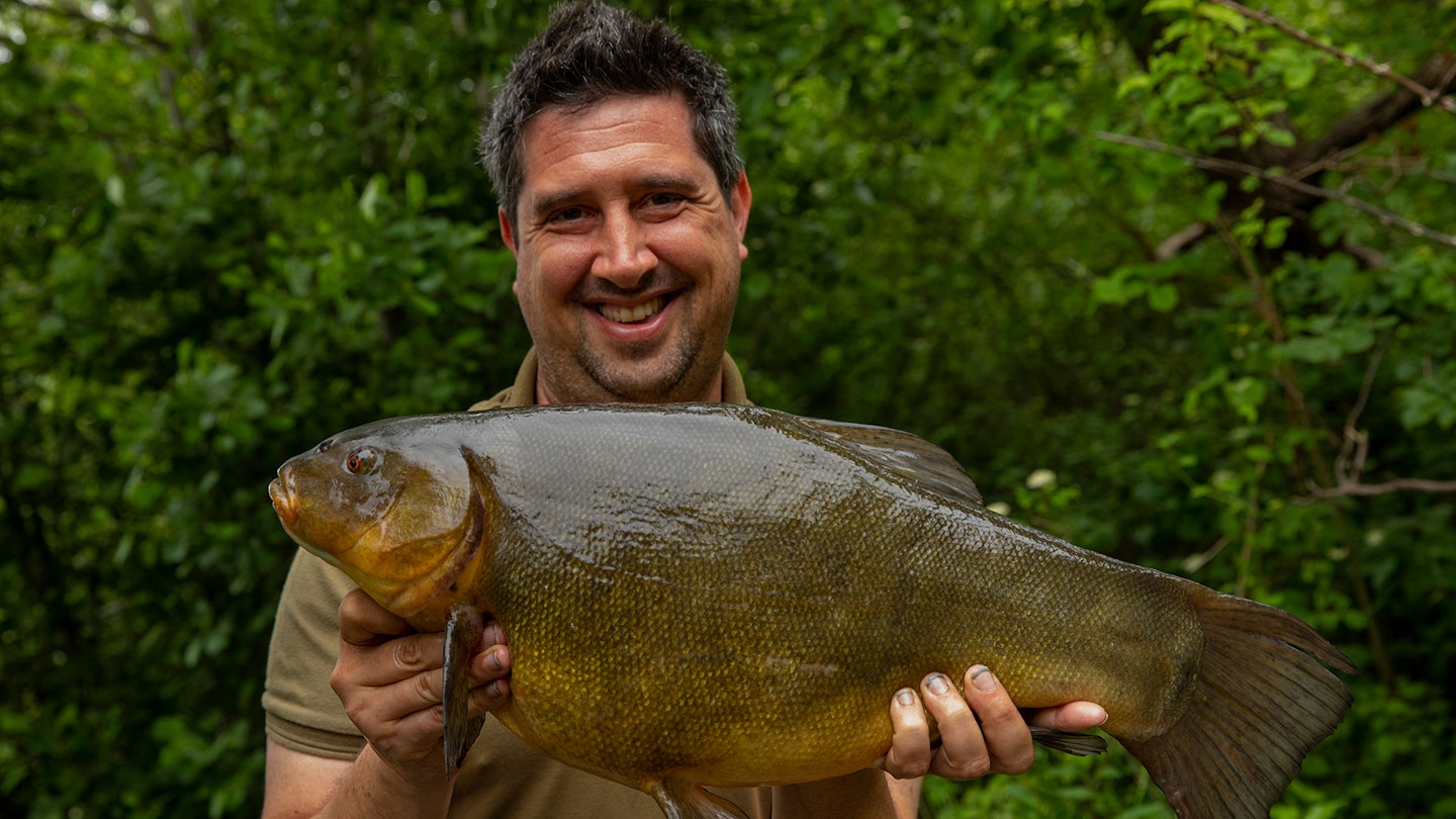 Haul of 20 tench topped by 11lb-plus specimen