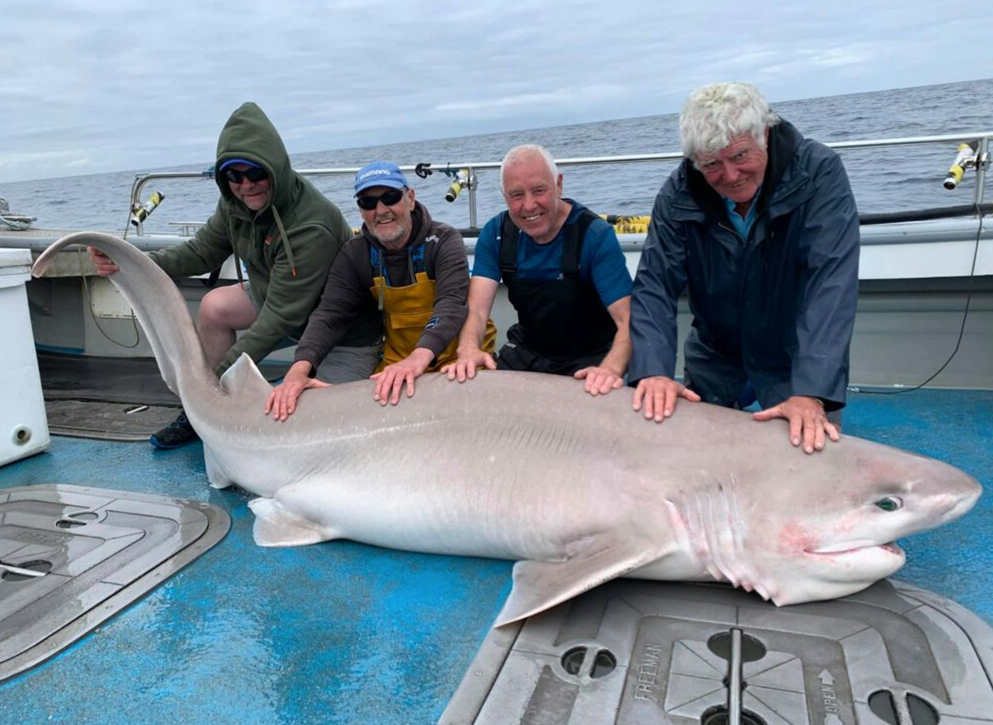 This 414lb monster was one of the 14 sixgill sharks boated