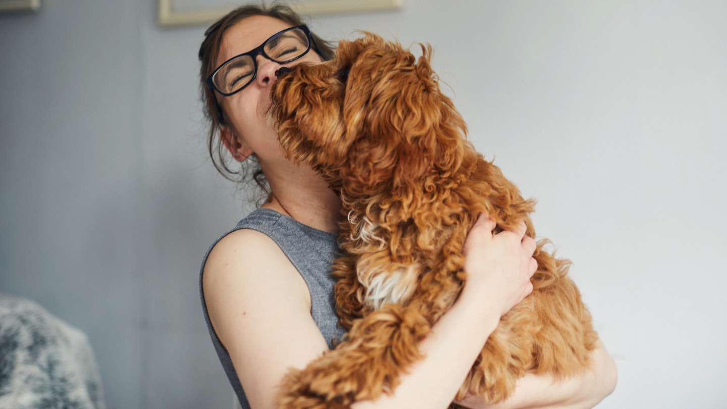 happy dog owner licked on the face
