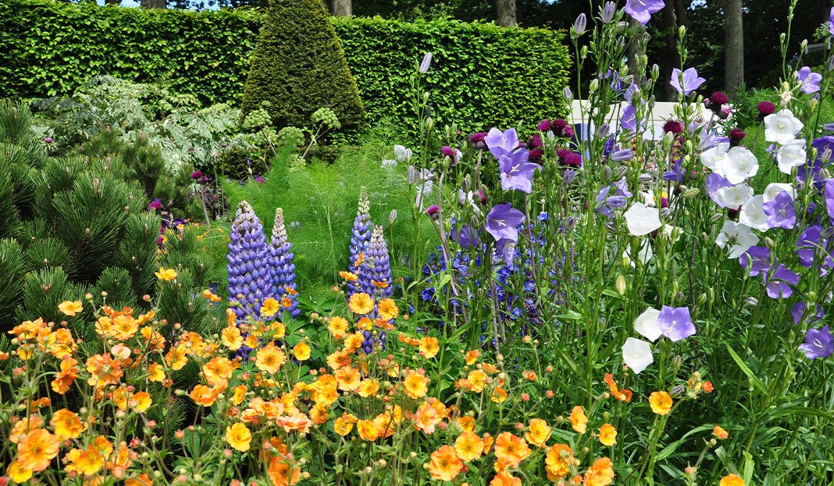 The best flower shows to visit this season