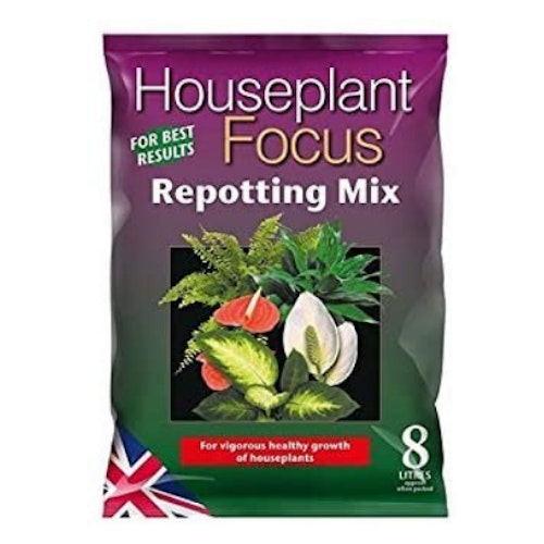 The best soil for indoor plants in 2021 Home What's The Best