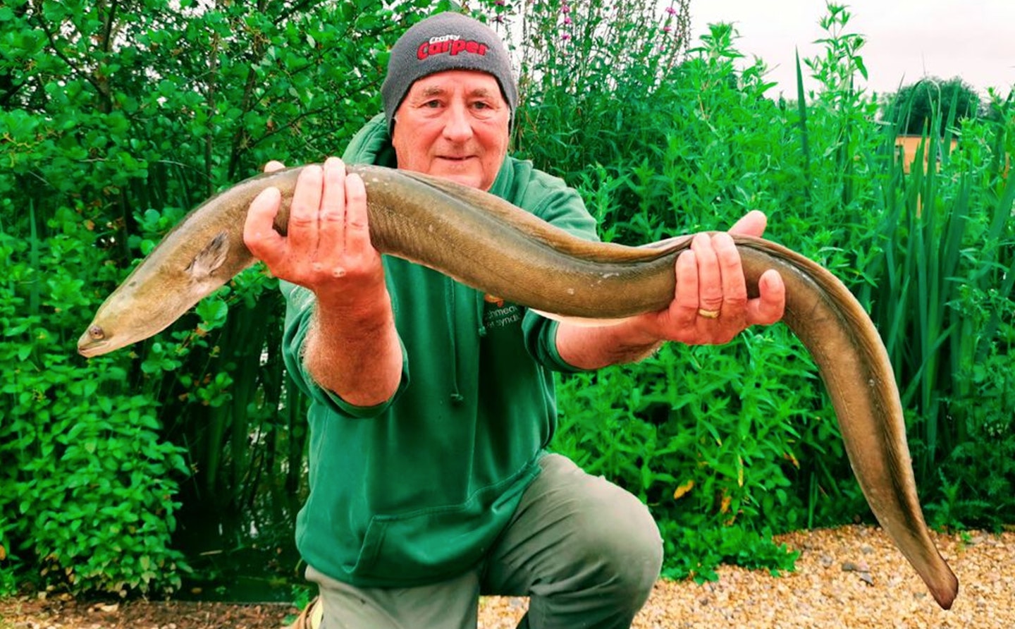 Bill Phillips – 6lb 14oz eel