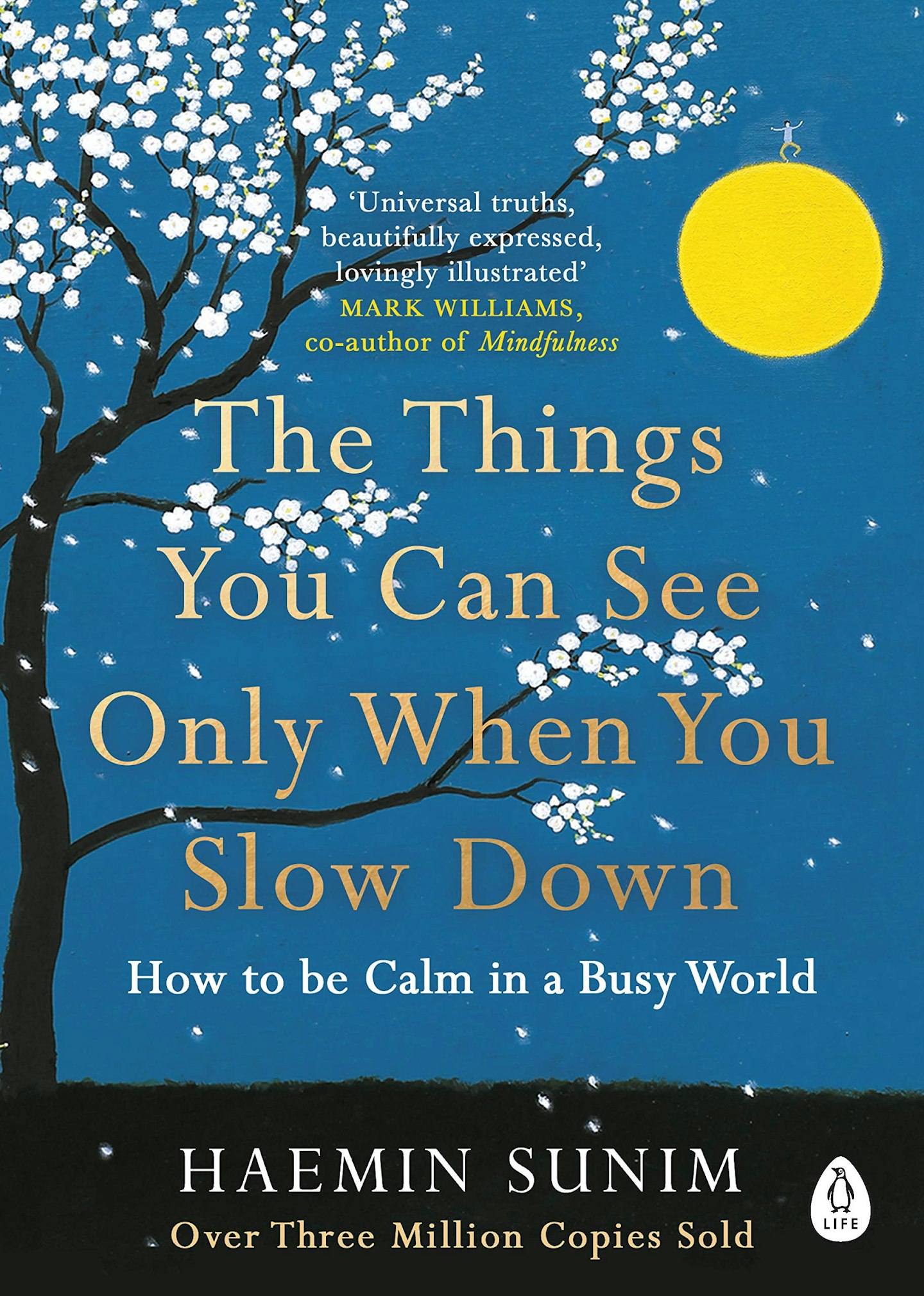 The Things You Can Only See When You Slow Down by Haemin Sunim