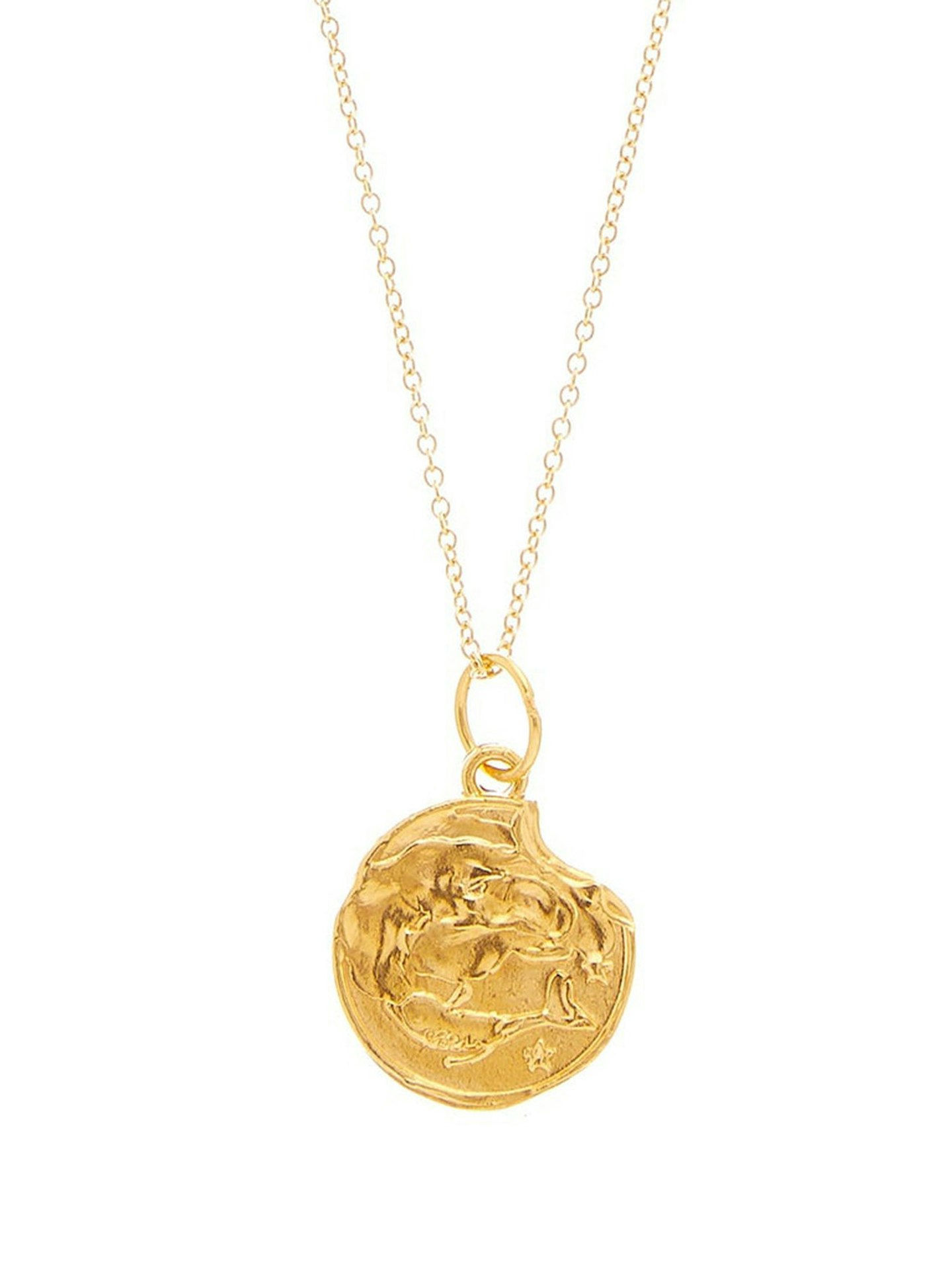 Alighieri, Pisces Gold-Plated Necklace, £195