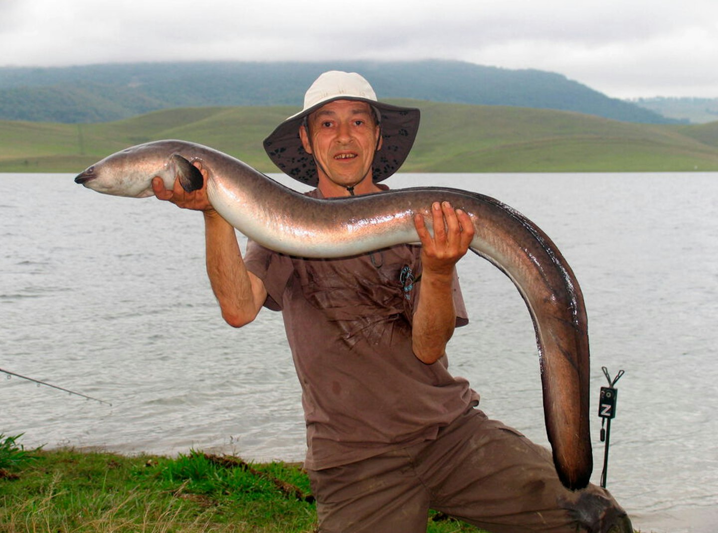 EELS 