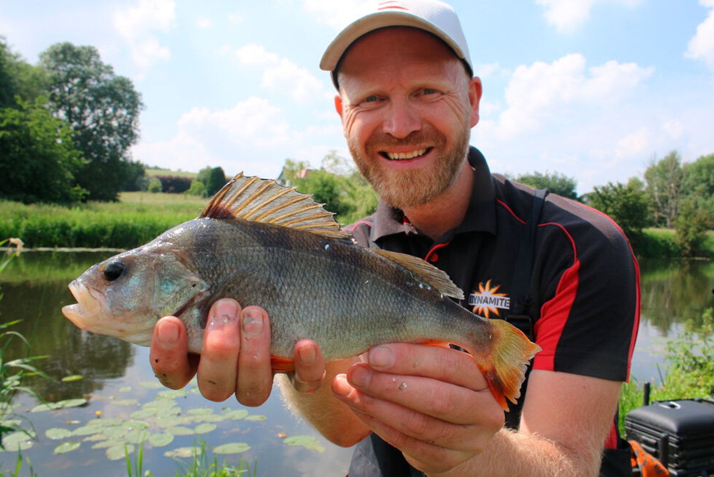 Big river perch can be great weight-builders