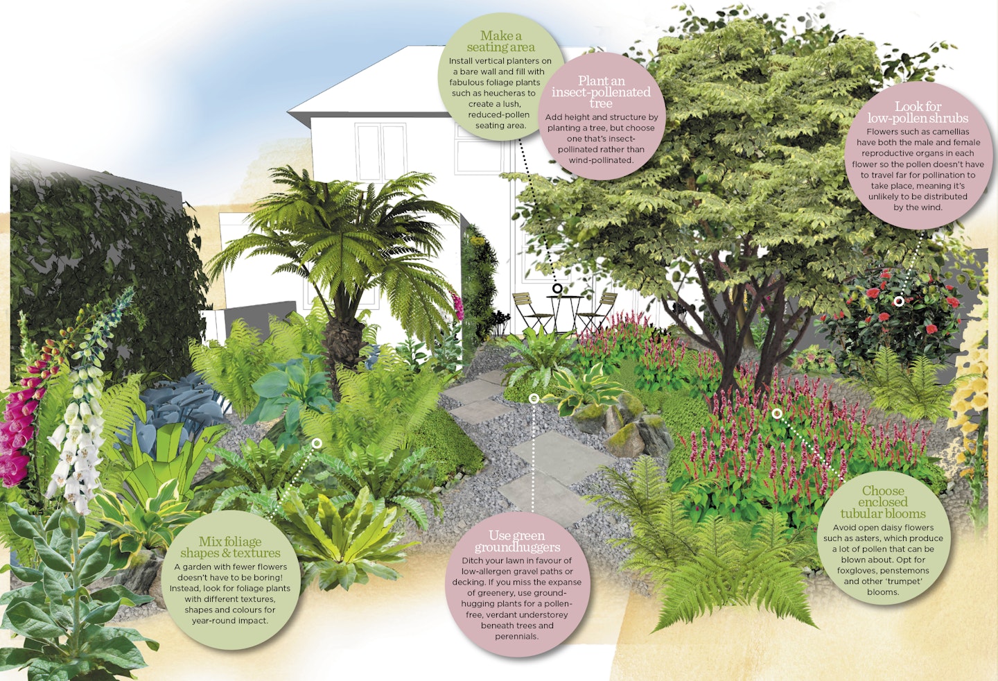A low allergy garden design with annotations