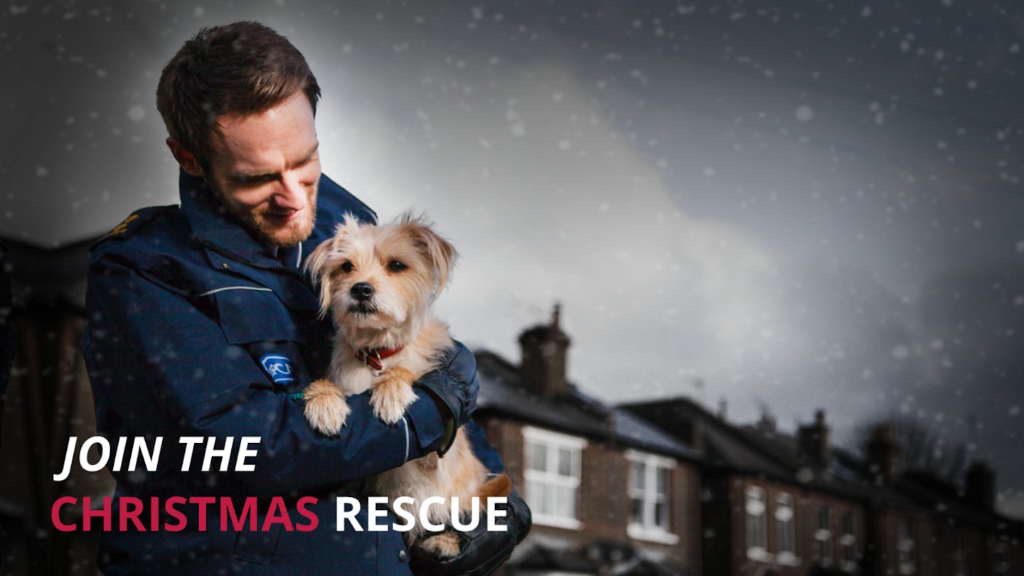 RSPCA Christmas Rescue