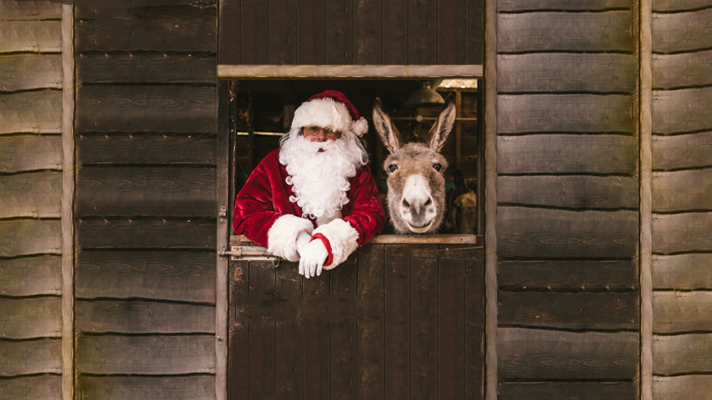 Donkey Sanctuary