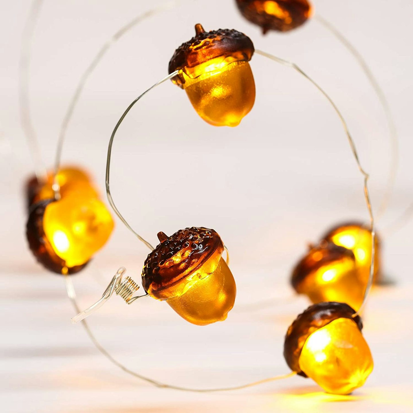 Fall Acorn String Lights