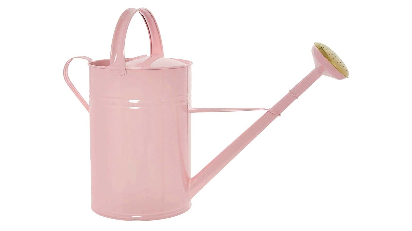 glossy pink watering can