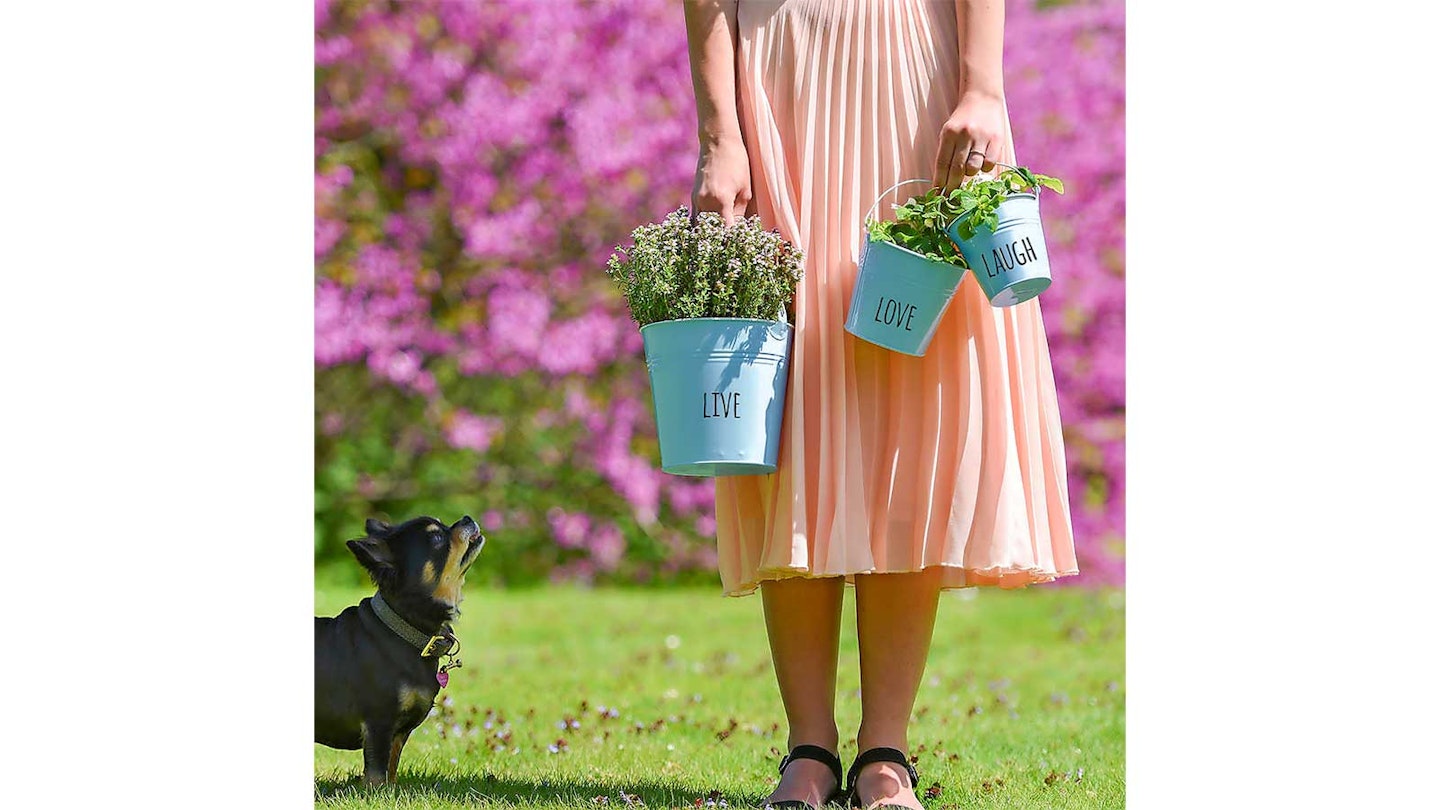 Woman in peach skirt carrying blue pots of herbs