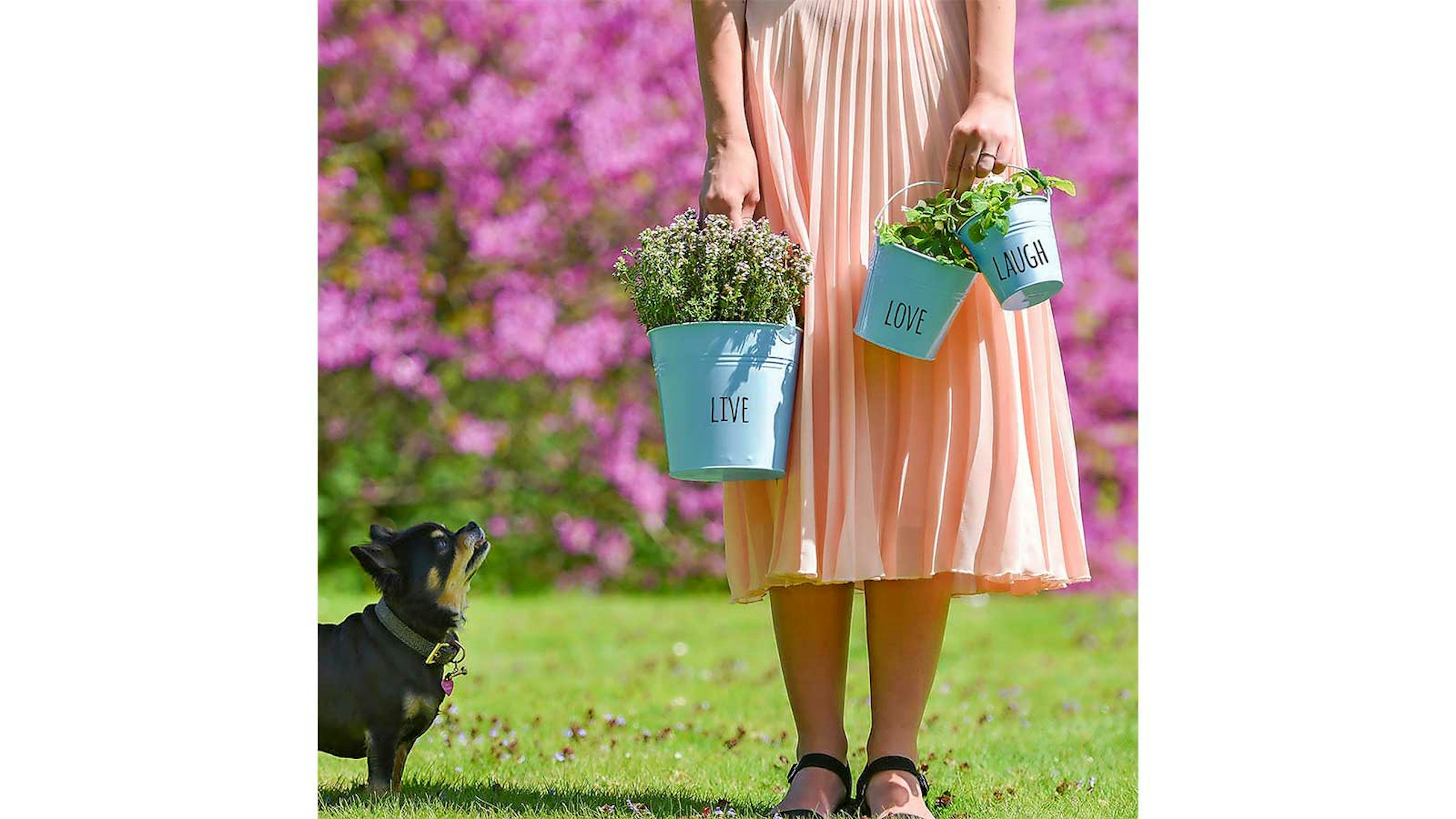 Woman in peach skirt carrying blue pots of herbs