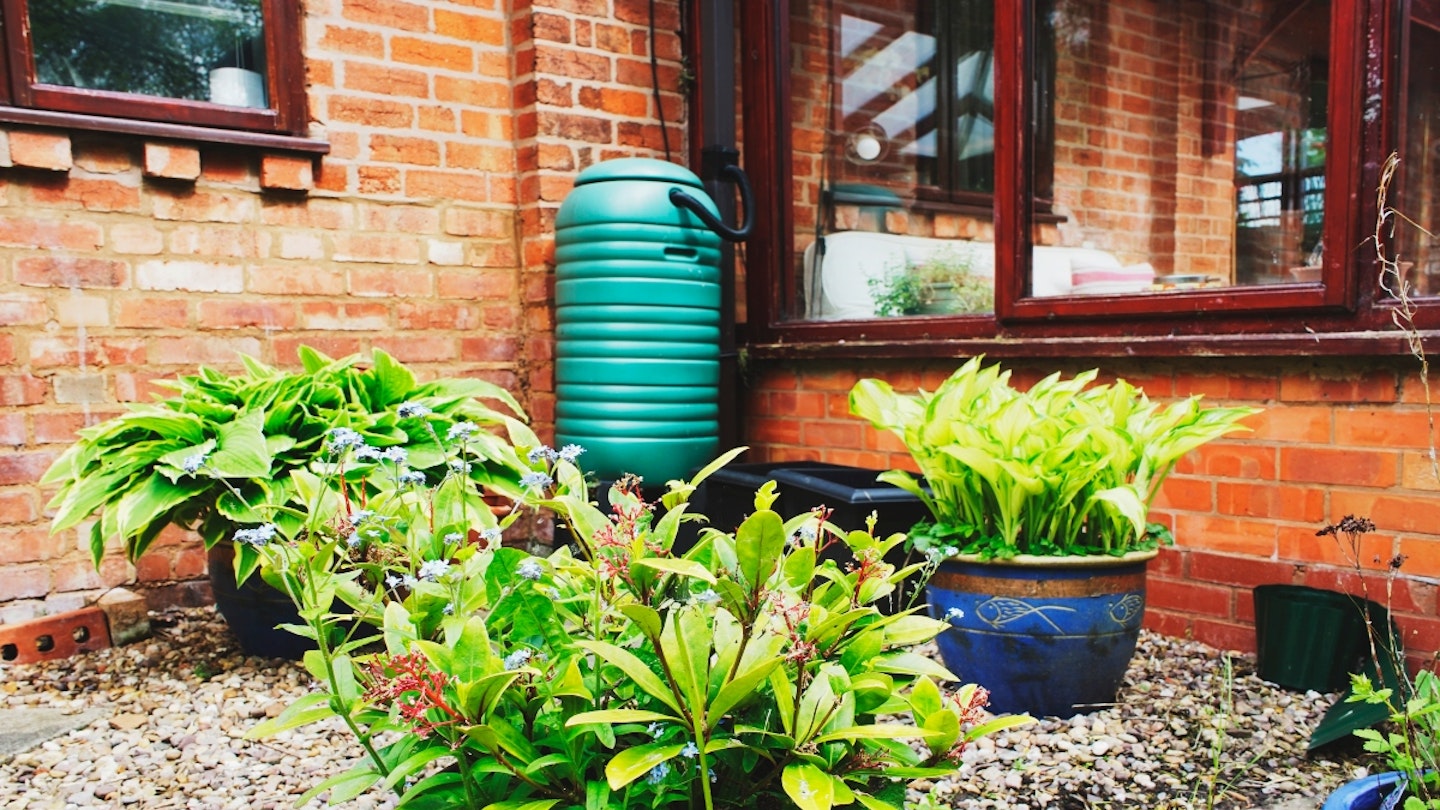 The best water butts for your garden