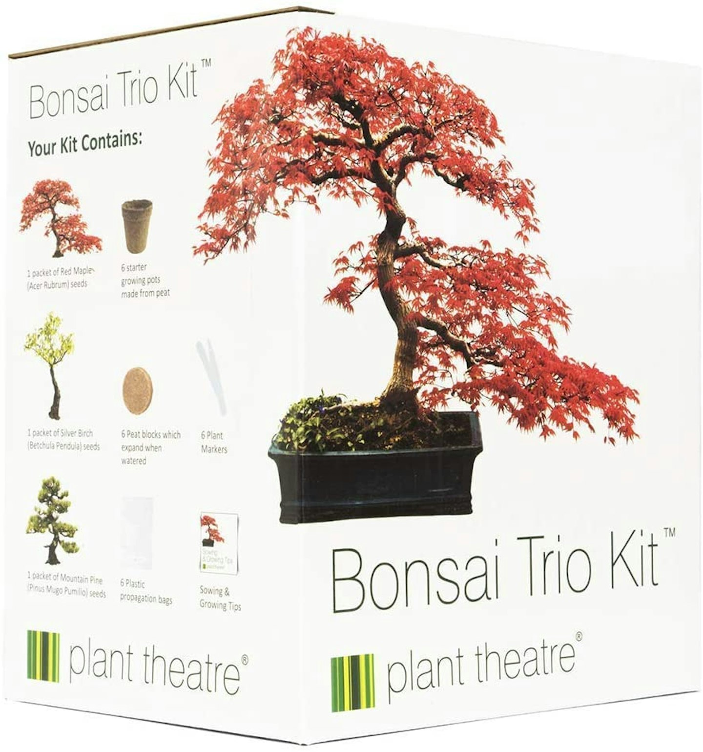 Plant Theatre Bonsai Kit Trio