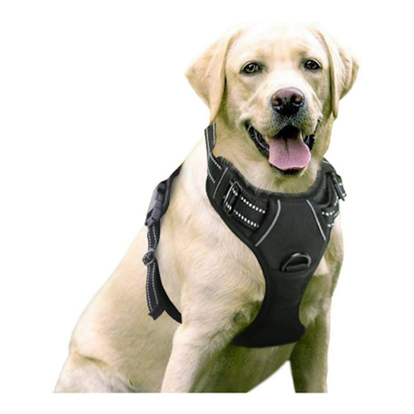 rabbitgoo No Pull Dog Harness Padded Adjustable Pet Vest Harness