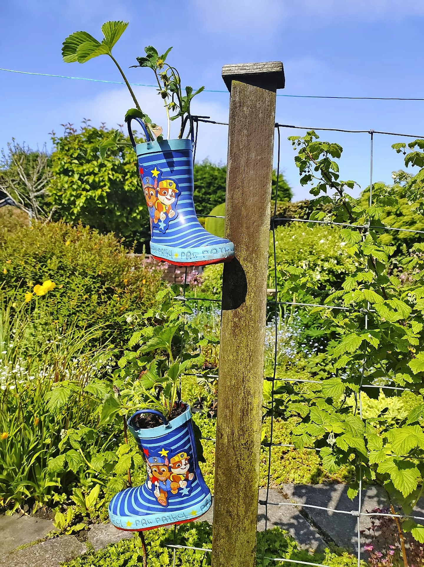 How to upcycle garden wellies into planters