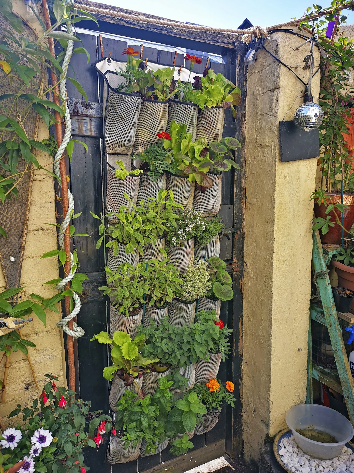 How to create a hanging herb garden