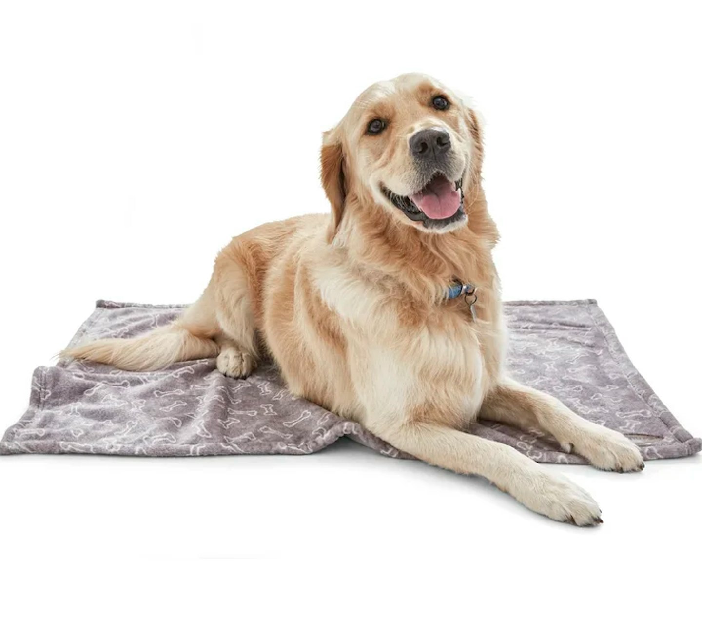 Keep your bedding free from fur with comforters for pet hair | Pets | Take  A Break