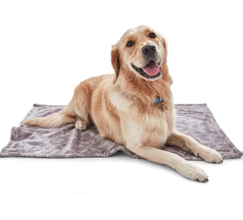 Keep your bedding free from fur with comforters for pet hair | Pets | Take A Break Keep your bedding free from fur with comforters for pet hair | Pets | Take A Break