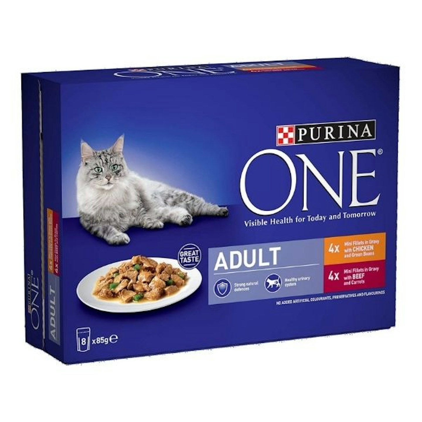 PURINA ONE Adult Cat Food Mini Fillets in Gravy