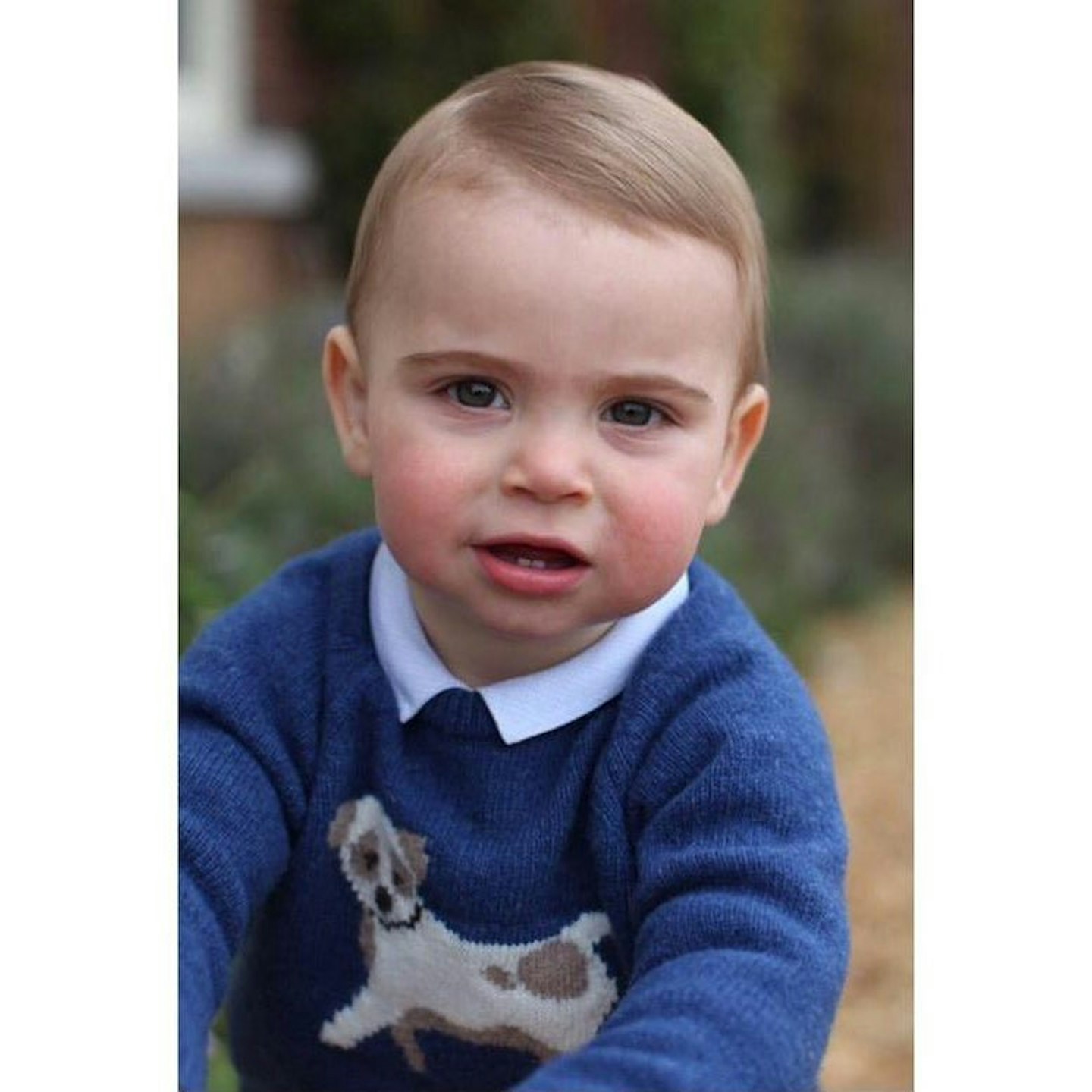 Prince Louis turns one