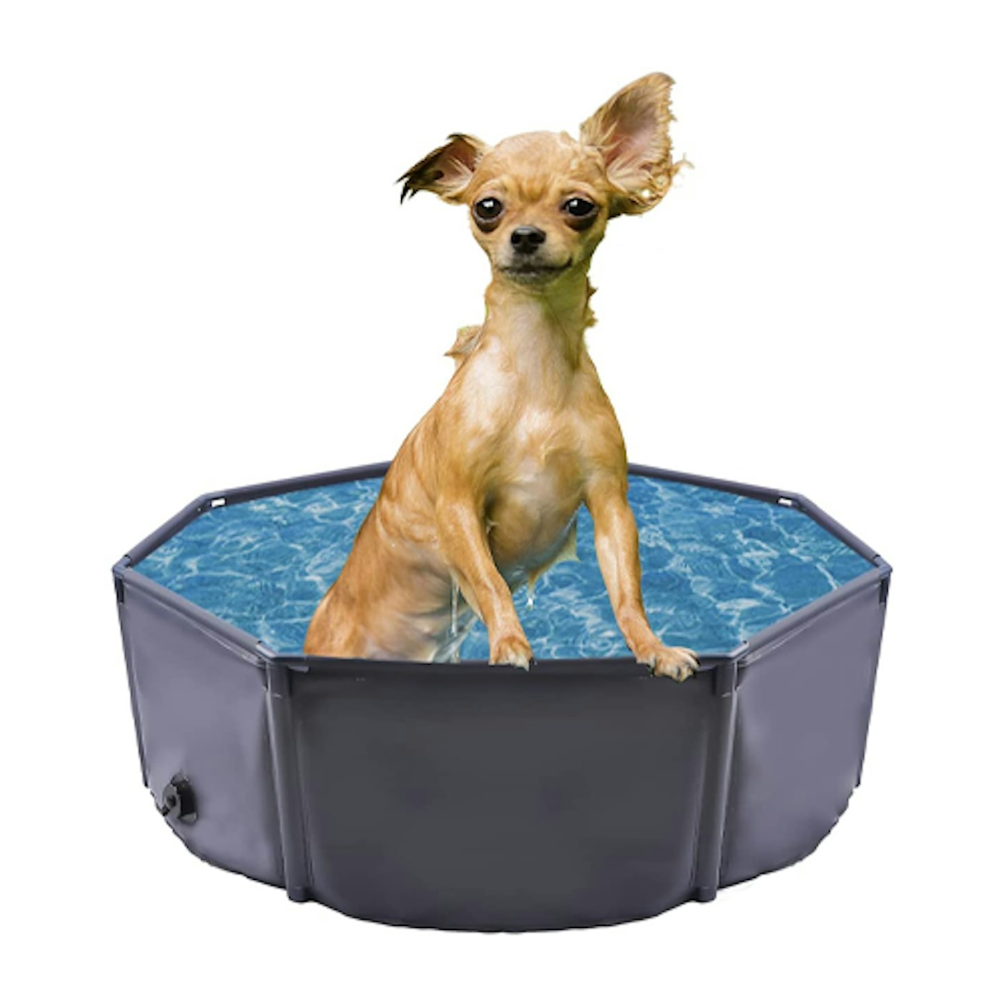 Pet Cat and Dog Spa Machine Milk Bath Bath Bathtub Swimming Tank Big and  Small Dogs Swimming Bath Pool