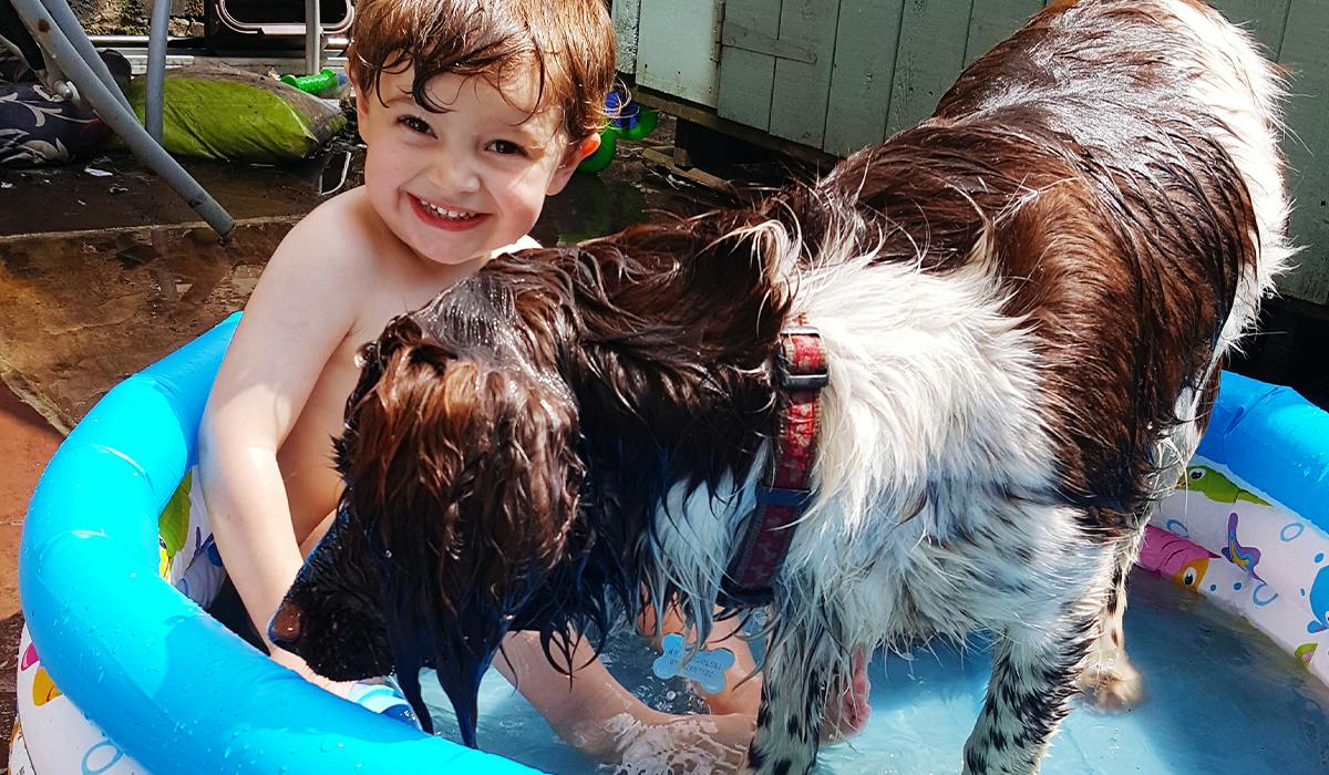 Best Dog Baths To Leave Your Pooch Squeaky Clean in 2022 - Vimarsana News
