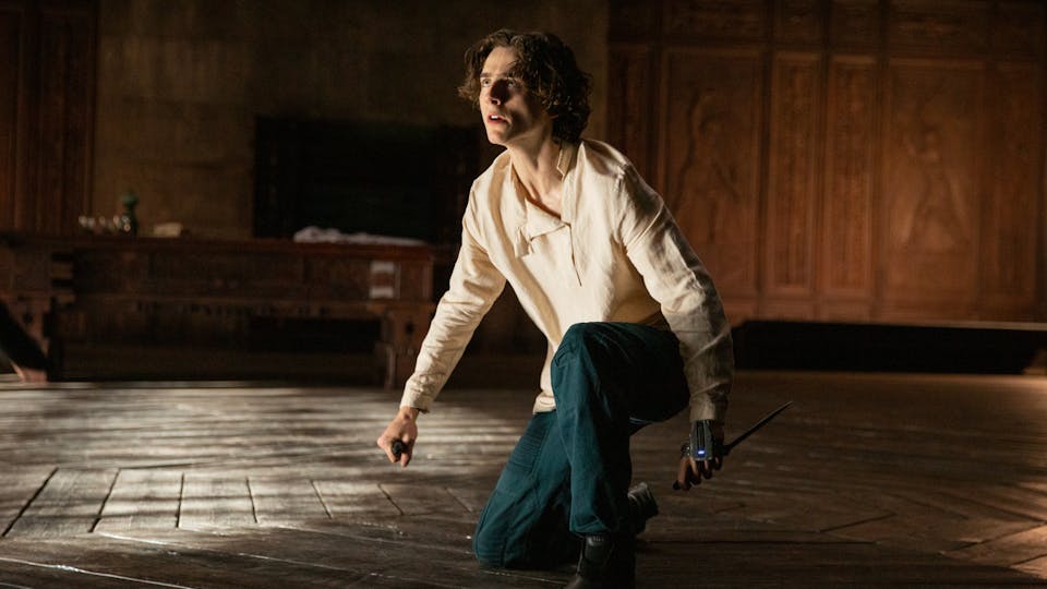 Timothée Chalamet On Dune: ‘I Felt A Deep Desire To Be Involved