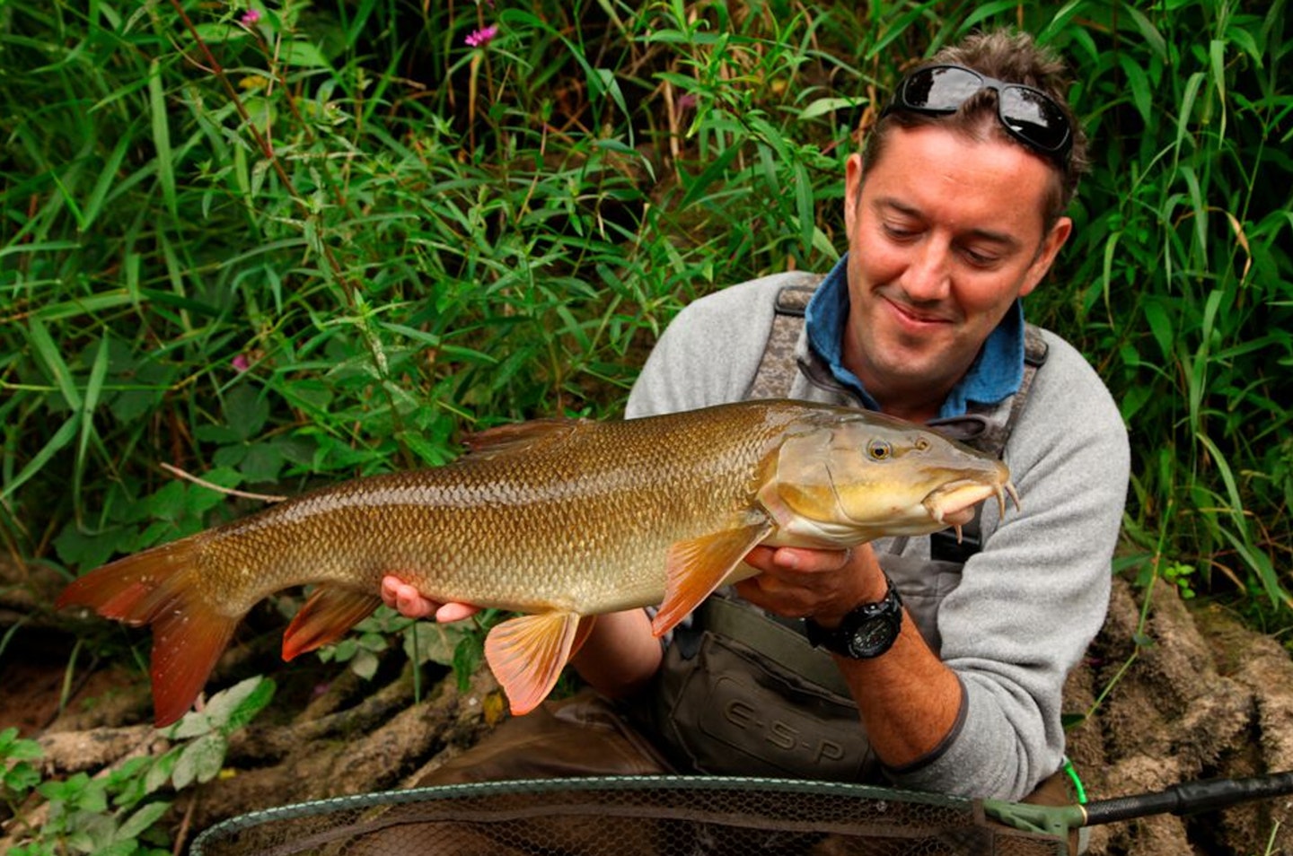 The barbel are doing fine and the chub fishing is better than ever, but it’s likely they’re using bankside features, such as trees and bushes, for shelter