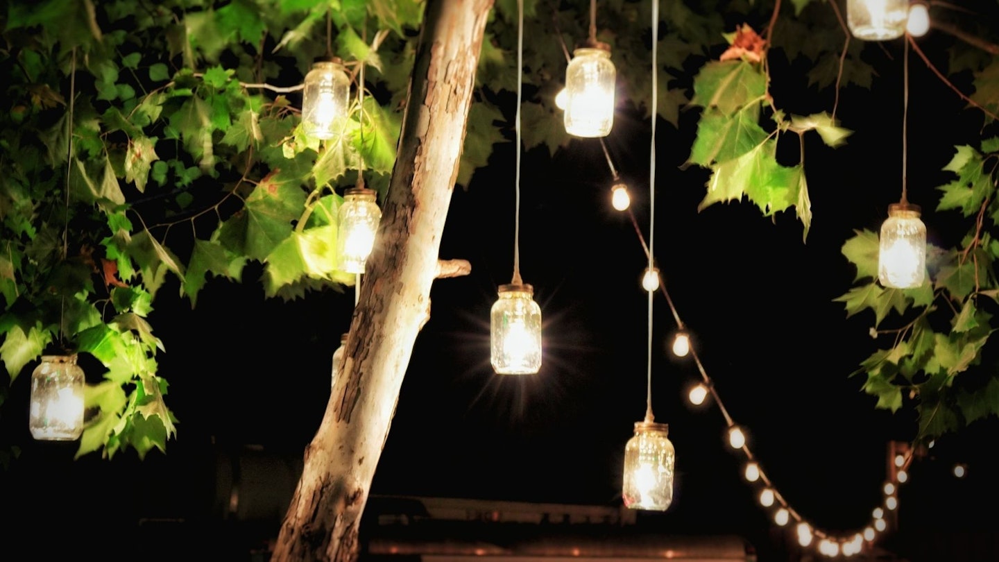 Garden lights hanging from a tree outdoors
