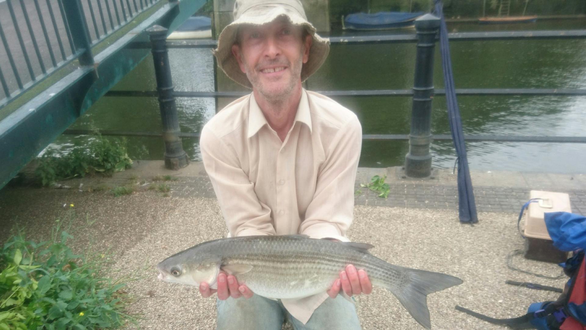 Thames mullet puts up 'phenomenal 