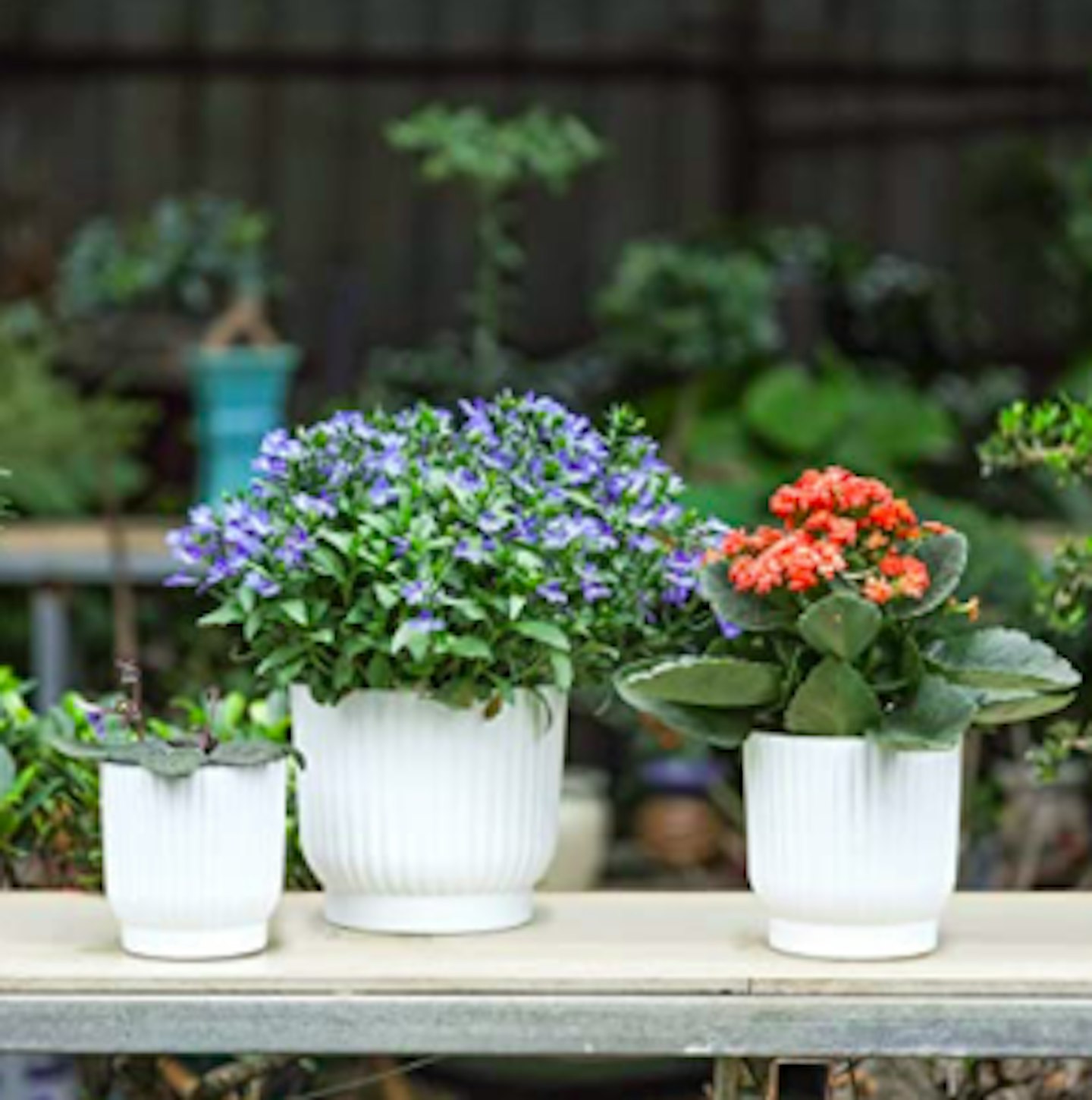 Best indoor plant pots 2021- Grazia