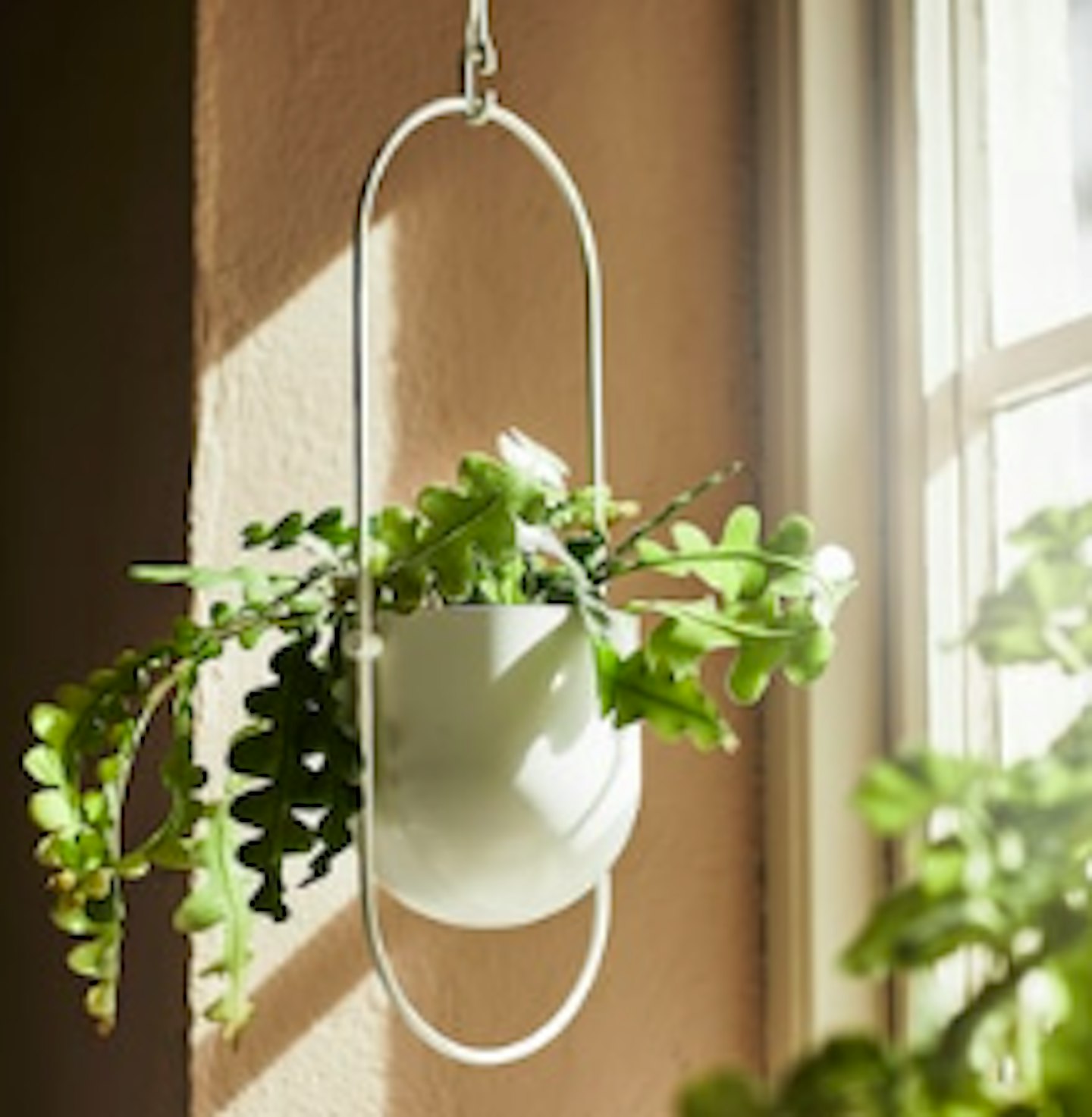 Best indoor plant pots 2021- Grazia