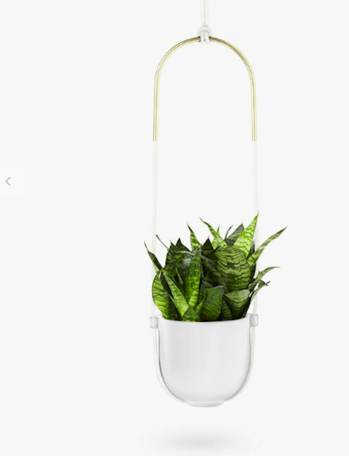 Best indoor plant pots 2021- Grazia