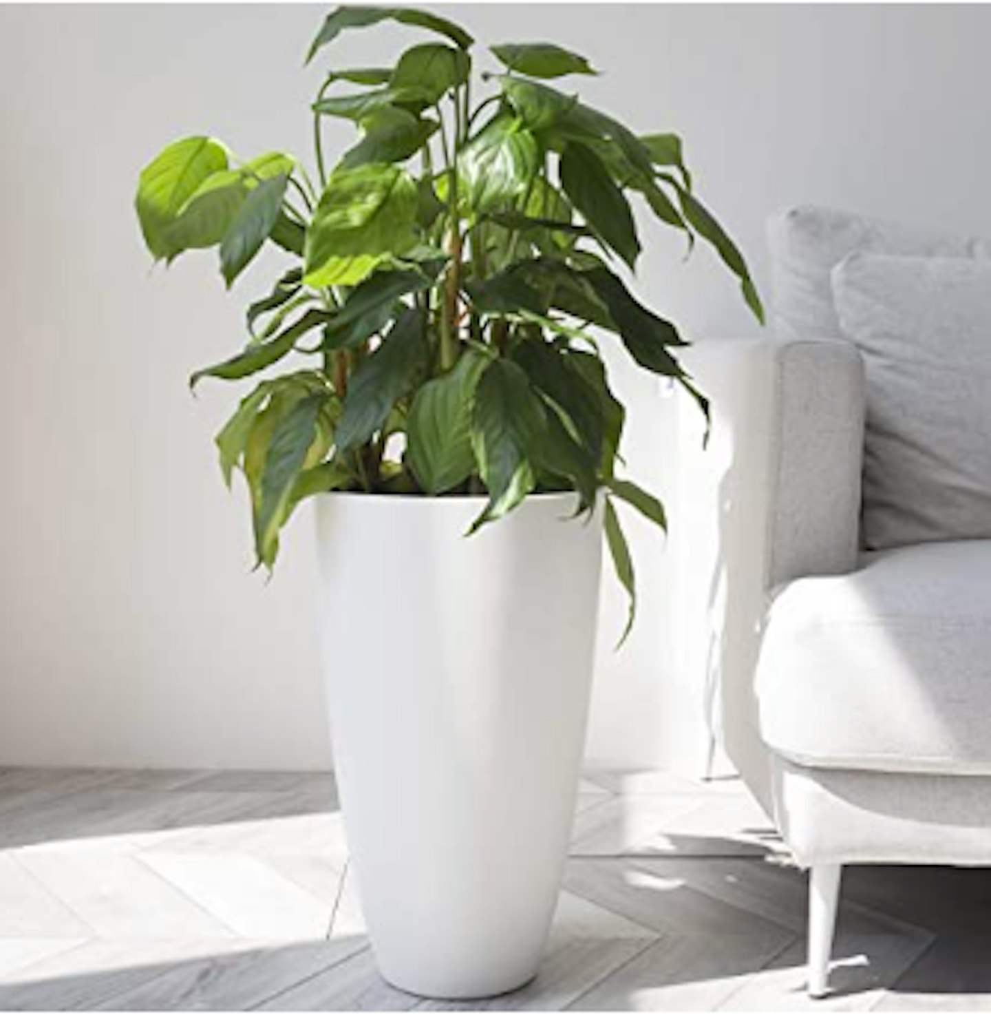 Best indoor plant pots 2021- Grazia