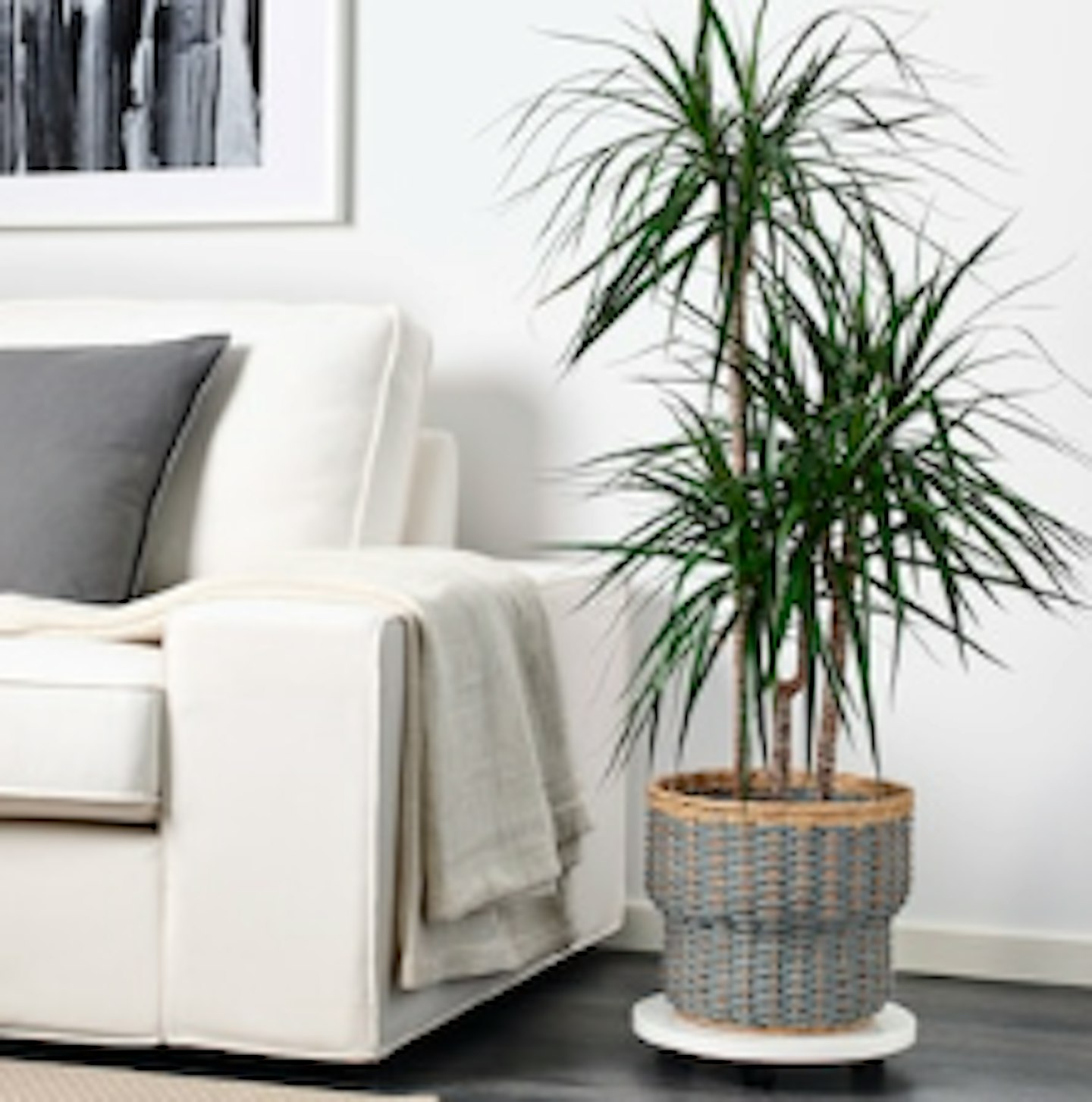 Best indoor plant pots 2021- Grazia