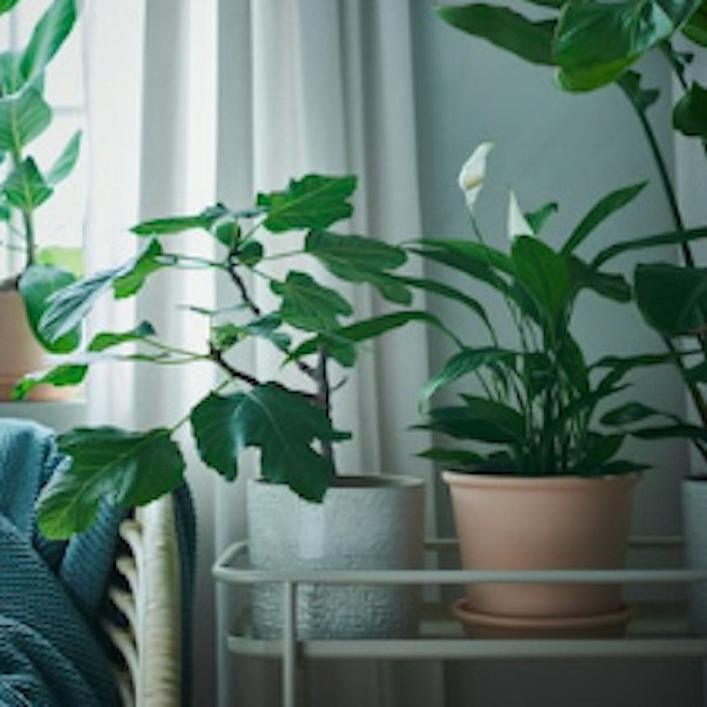 Best indoor plant pots 2021- Grazia