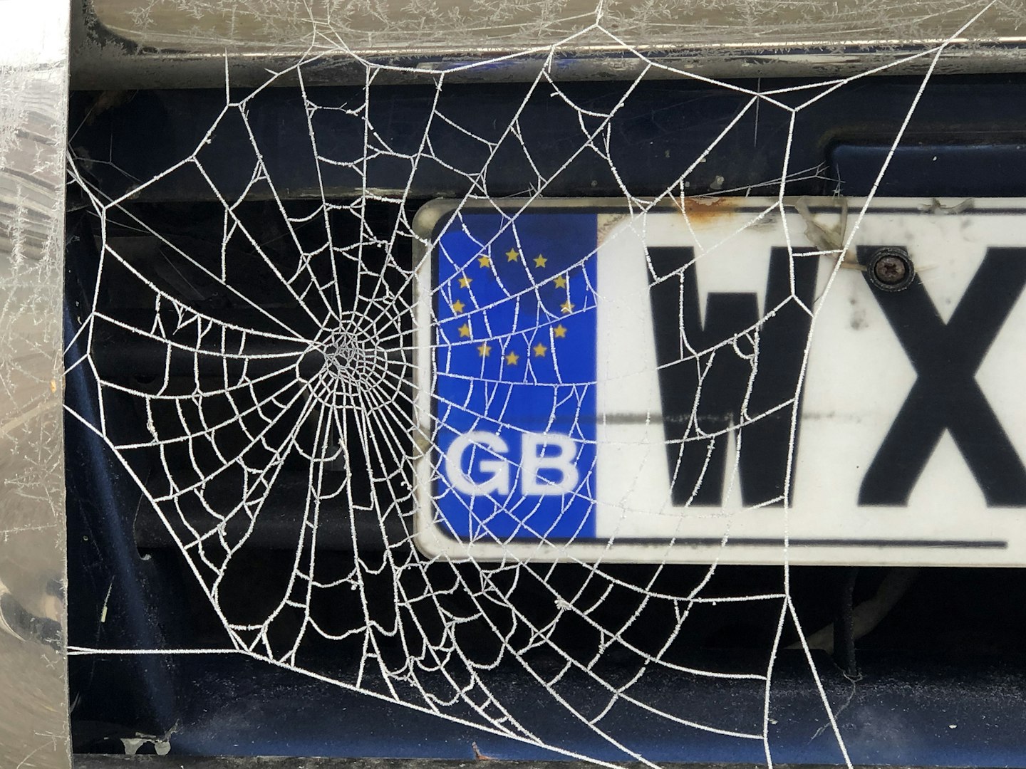 A dirty car number plate with a spider web