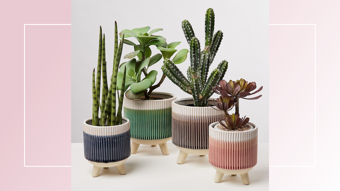 Best indoor plant pots - Grazia