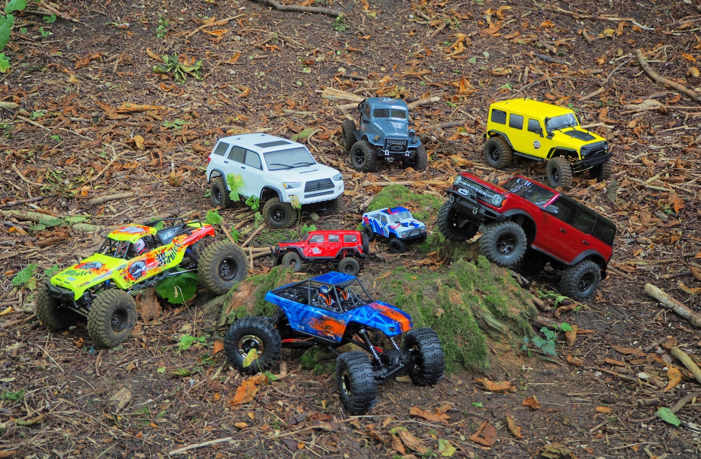 All rock crawlers grouped together on a tree stump