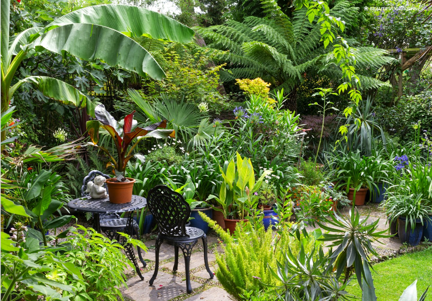Tudor Roost garden in Essex - a suntrap seating area is filled with large-leaved architectural specimens including banana plants
