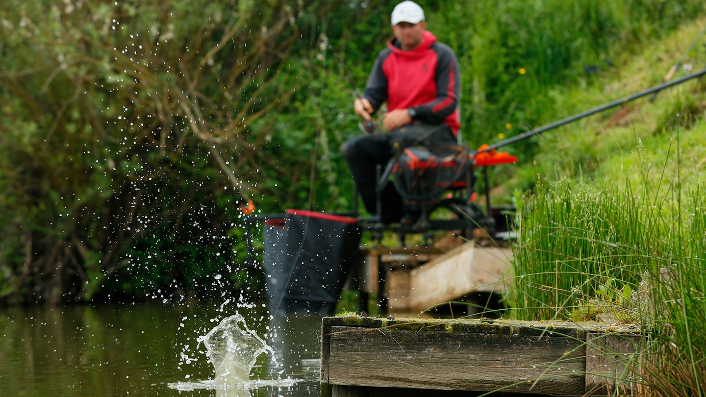 How to fish the feeder in the margins 