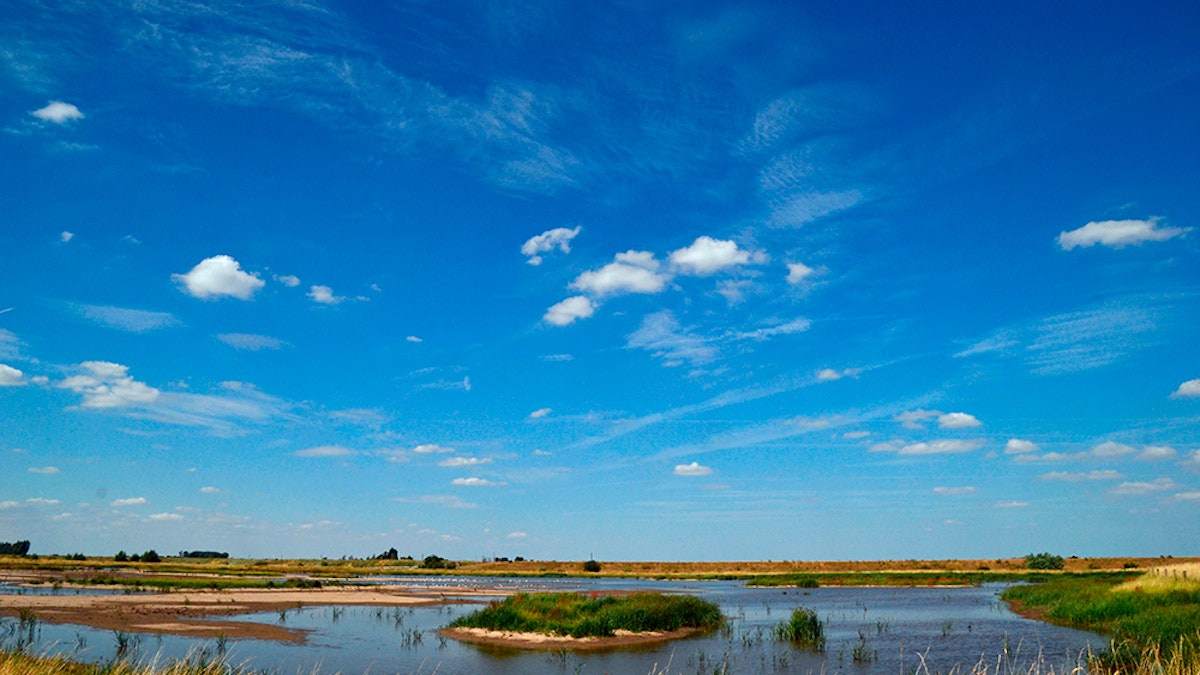 Frampton Marsh Readers’ Day | Travel Guides | Bird Watching