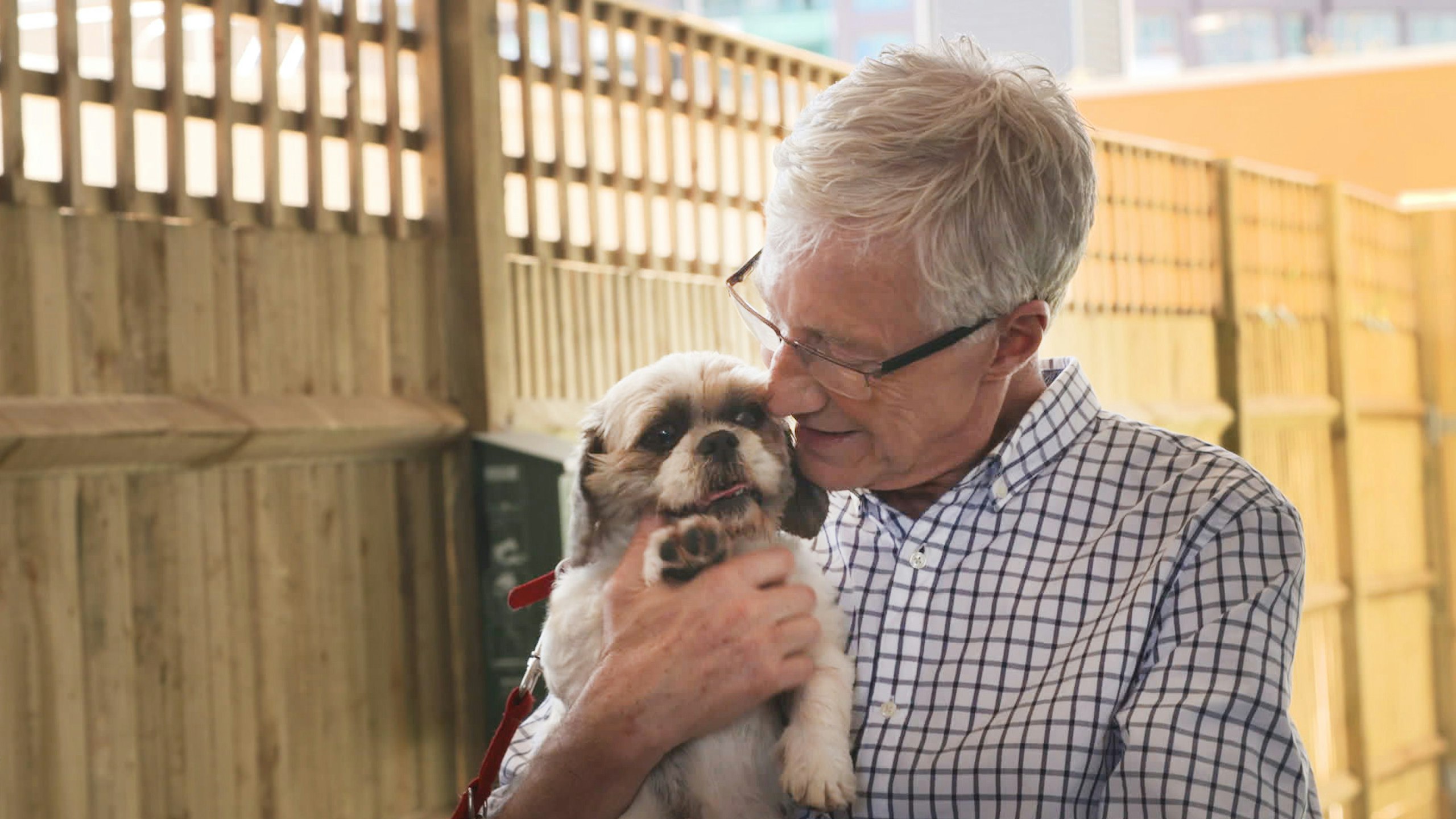 Paul O'Grady Love of Dogs