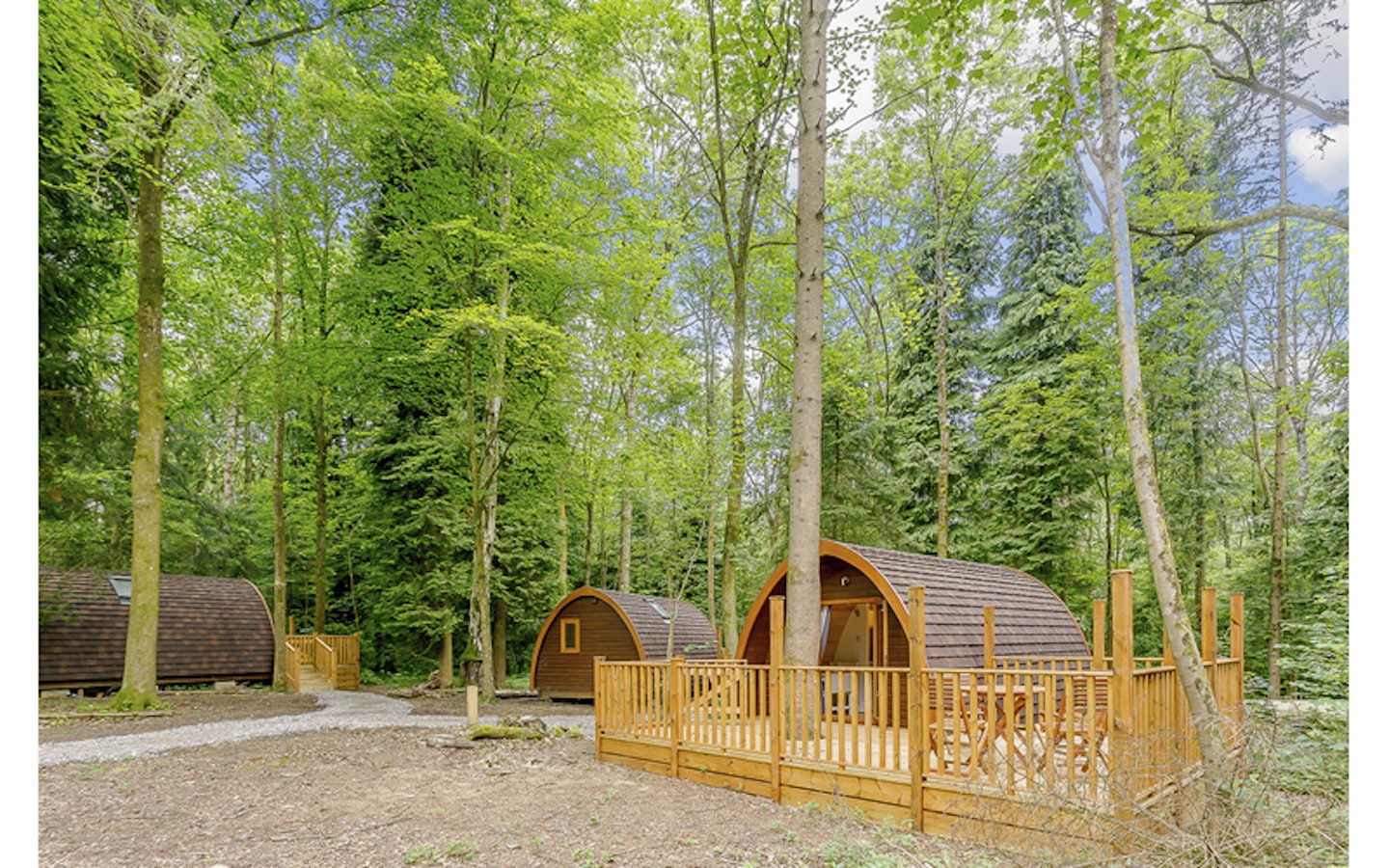 Go wild in Wiltshire 