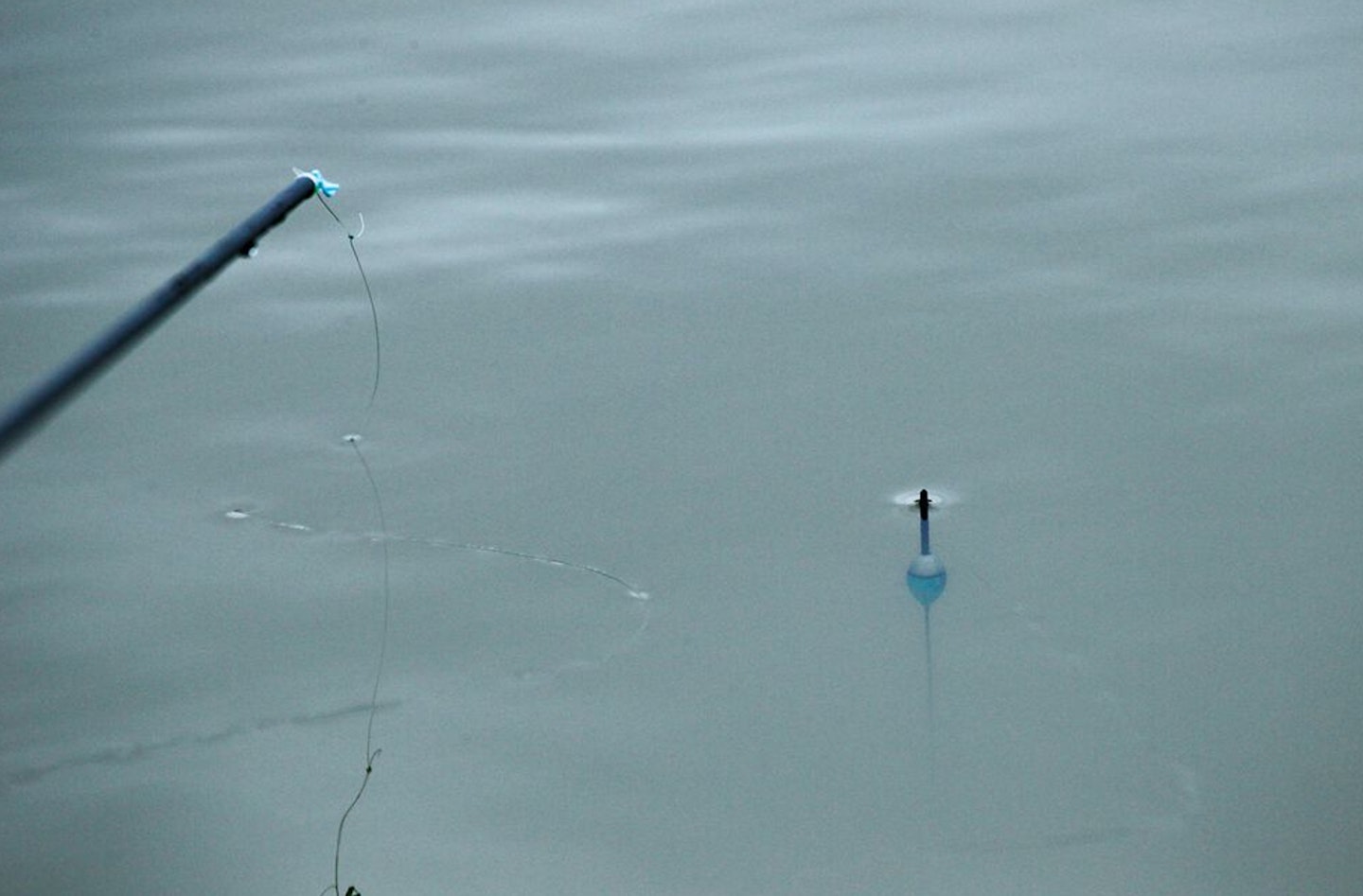 A common mistake many pole anglers make is to leave too much float tip showing
