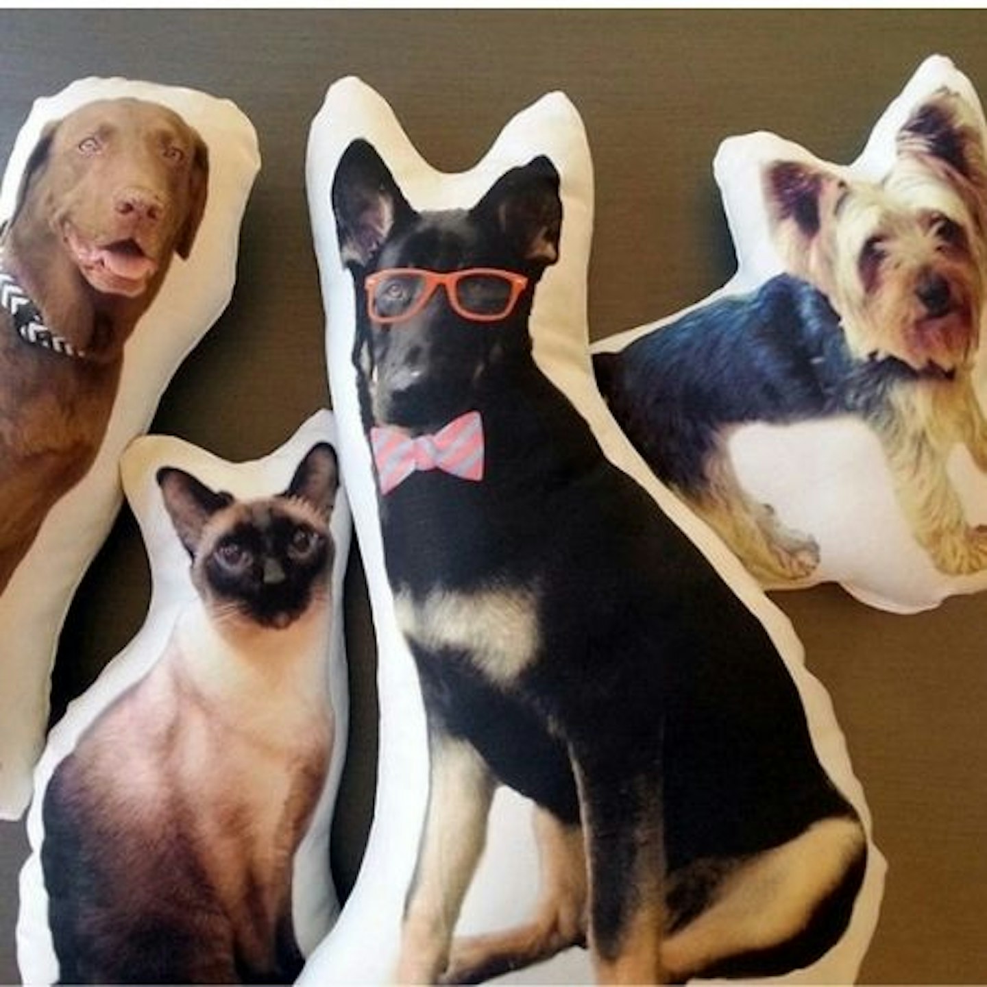 Custom Pet Photo Pillow