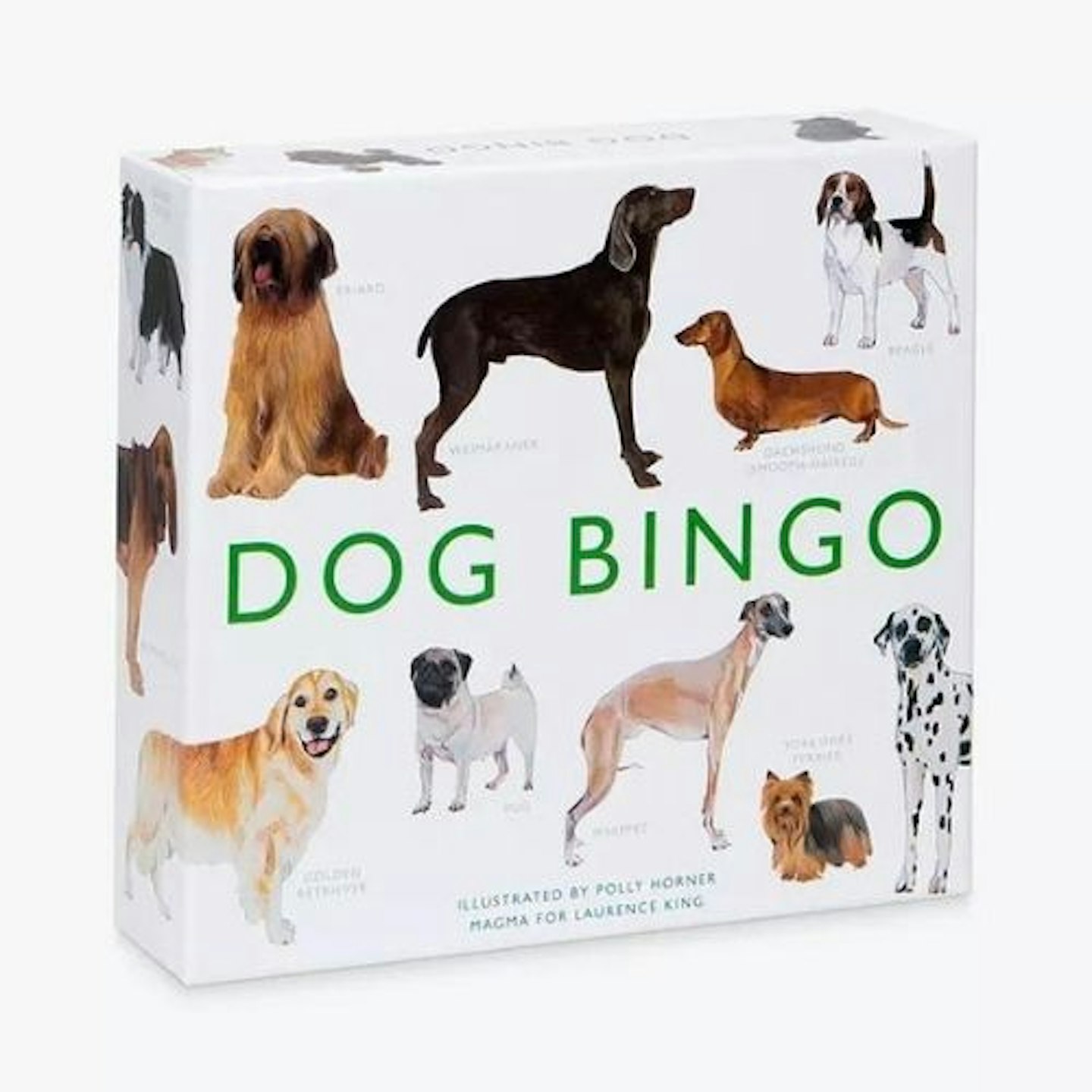 Dog Bingo